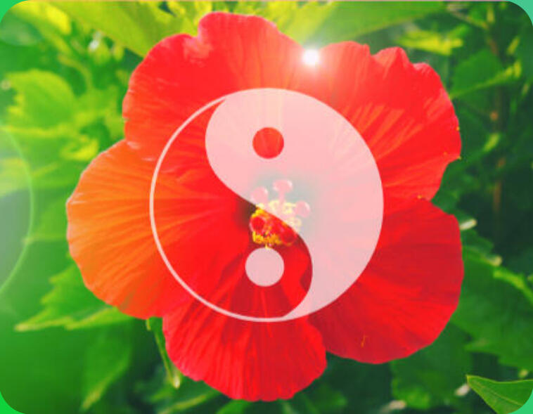 mini-atelier synaptika