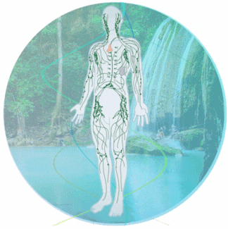 drainagelymphatiqueoptimisé