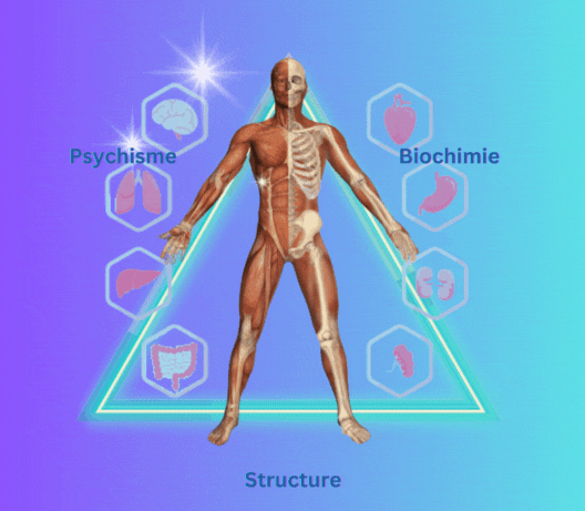 Touch for Health : Intelligence corporelle