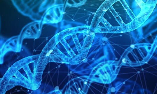 Structure de l'ADN, symbole de l'héritage des informations transmises de génération en génération