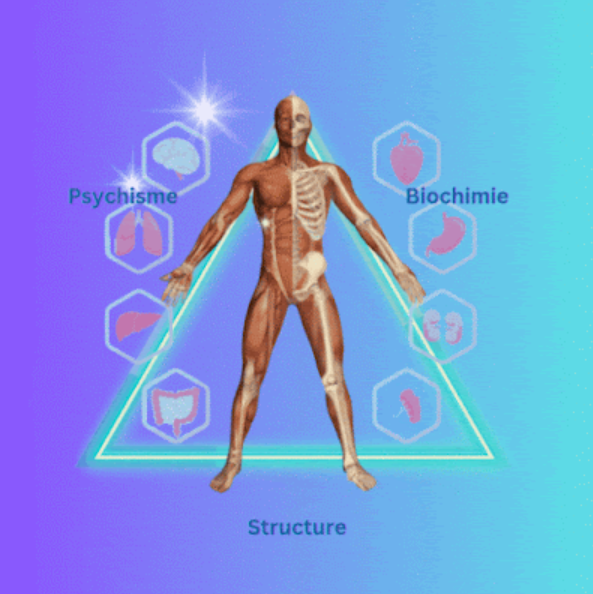 Touch for Health® - Équilibrage énergétique