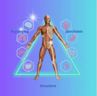 Touch for Health® - Équilibrage énergétique