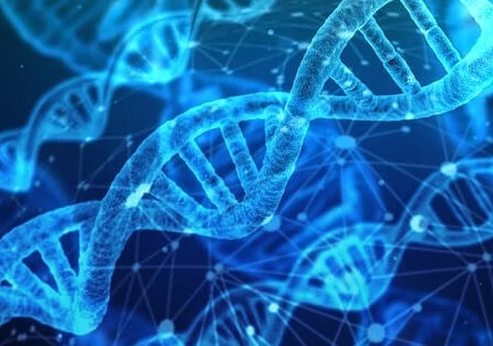 ADN et héritage génétique