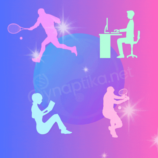 L'exercice physique augmente la mémoire et l'apprentissage