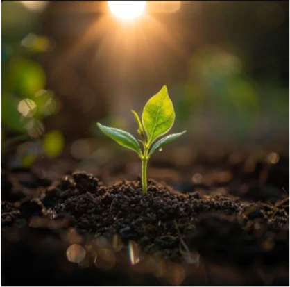 Faire le tri dans ses pensées