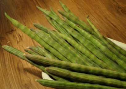 Le moringa - arbre aux multiples vertus