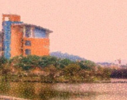 Révolution éducative au Japon - cantine scolaire et alimentation saine