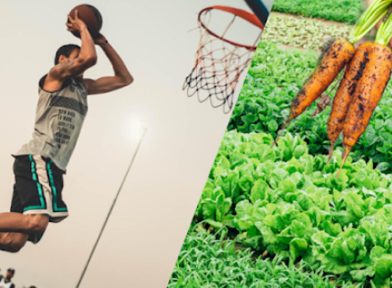 Nutrition équilibrée - alimentation saine