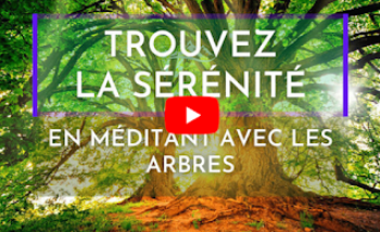 La Sieste de Léonard De Vinci - Éveillez votre génie créatif par la relaxation