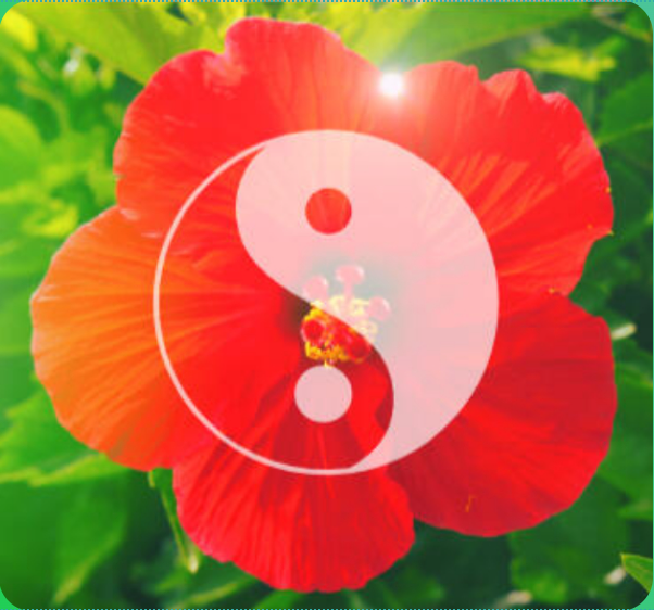 Mini-atelier Synaptika